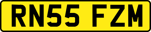 RN55FZM