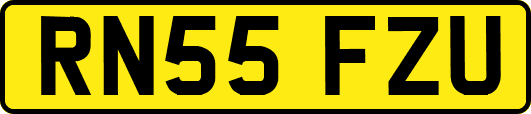 RN55FZU