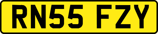RN55FZY