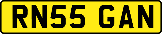 RN55GAN