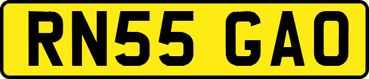 RN55GAO