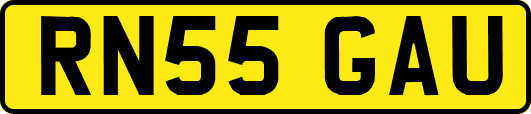 RN55GAU