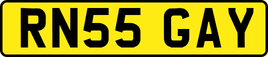 RN55GAY