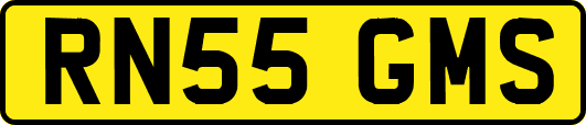 RN55GMS