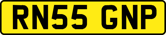 RN55GNP