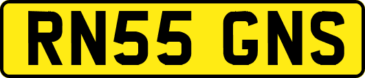 RN55GNS