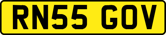 RN55GOV