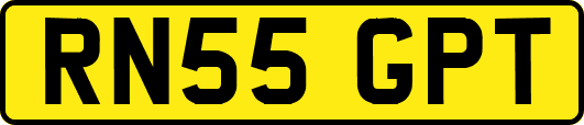 RN55GPT