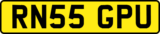 RN55GPU