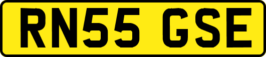 RN55GSE