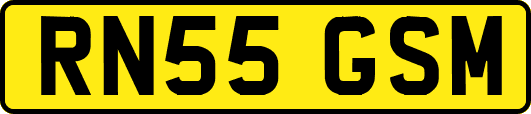 RN55GSM