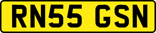 RN55GSN