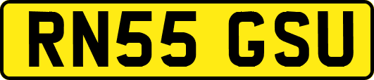 RN55GSU