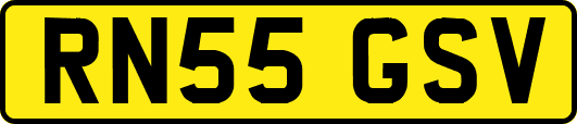 RN55GSV