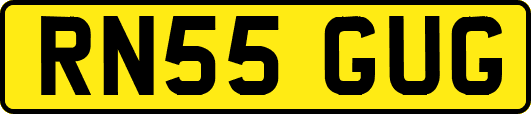 RN55GUG