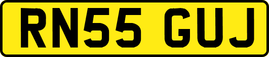 RN55GUJ