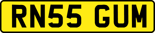 RN55GUM