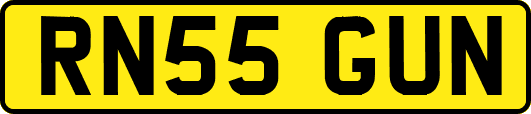 RN55GUN
