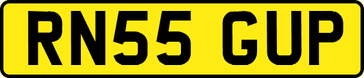 RN55GUP