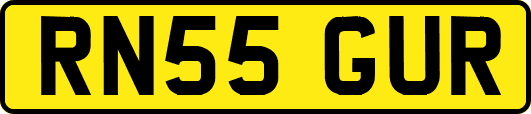 RN55GUR