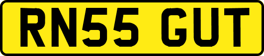 RN55GUT