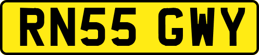 RN55GWY