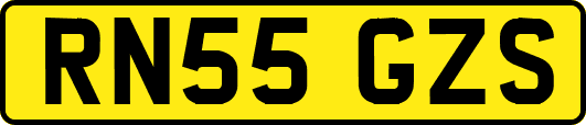 RN55GZS