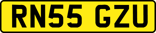 RN55GZU