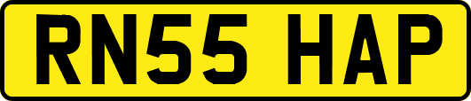 RN55HAP