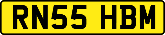 RN55HBM