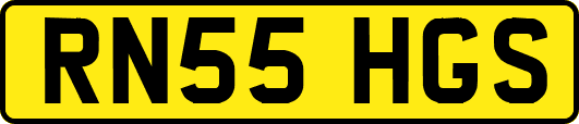 RN55HGS