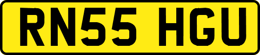 RN55HGU