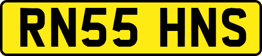 RN55HNS