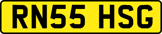 RN55HSG