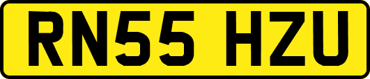 RN55HZU