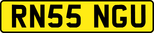 RN55NGU