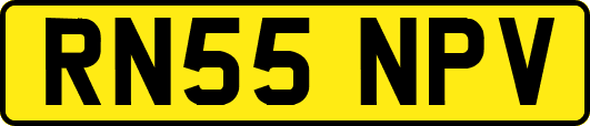 RN55NPV