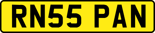 RN55PAN