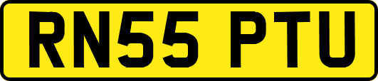 RN55PTU