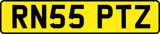 RN55PTZ