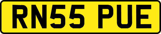 RN55PUE