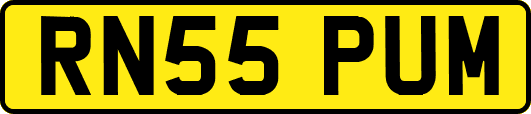 RN55PUM