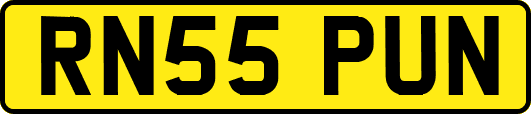 RN55PUN