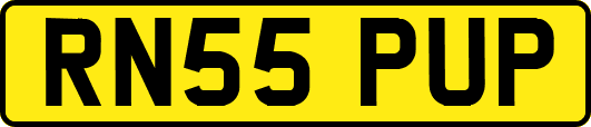 RN55PUP