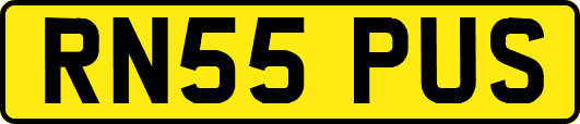 RN55PUS