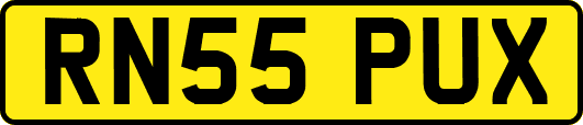 RN55PUX