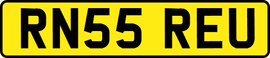 RN55REU