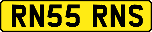 RN55RNS