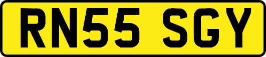 RN55SGY