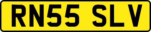 RN55SLV
